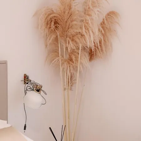 In شقة سبليت